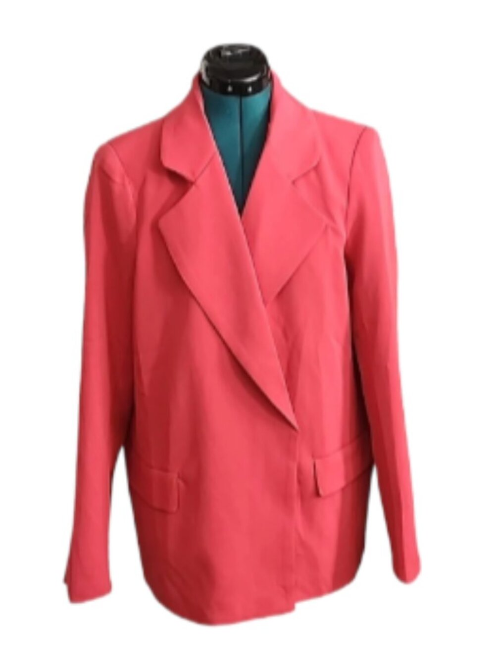 Oddy blazer, Raspberry Colored NWOT - Picture 1 of 10